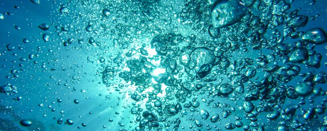 Swarm of Underwater Robots Mimics Ocean Life