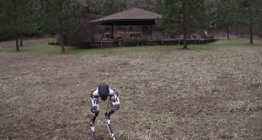 Cassie Bipedal Delivery Robot