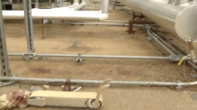 Guardian S Snake Robot