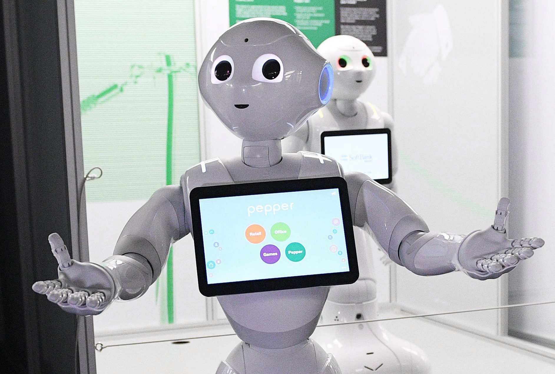 KILLING MACHINES Hacked robots could attack humans, burgle people’s homes and KILL their pets, experts warn