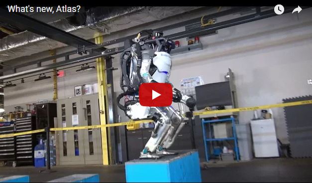 What Humanoid Backflips Mean for Robot Agility