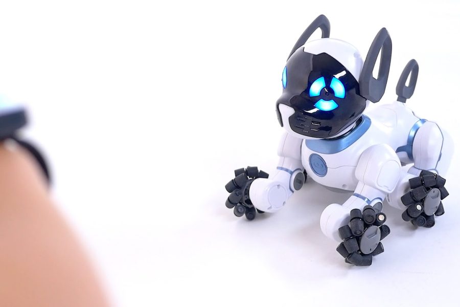 The truth about robot cats and dogs: can they replace real pets?